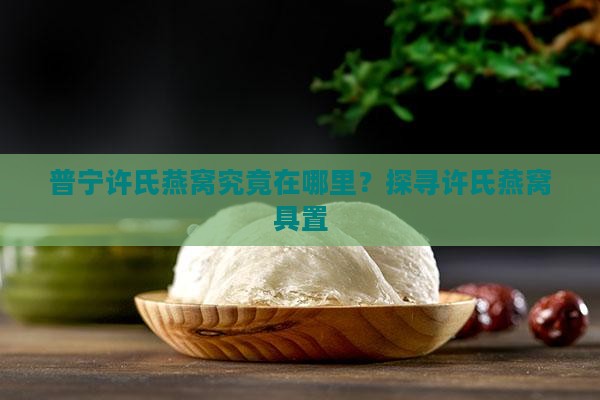 普宁许氏燕窝究竟在哪里？探寻许氏燕窝具置