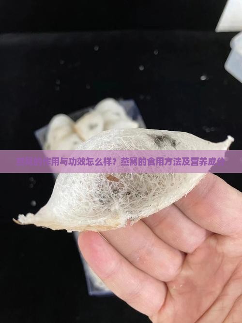 燕窝的作用与功效怎么样？燕窝的食用方法及营养成分