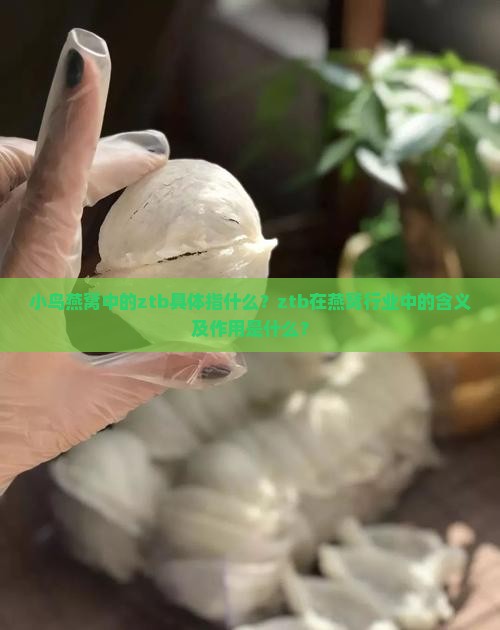小鸟燕窝中的ztb具体指什么？ztb在燕窝行业中的含义及作用是什么？