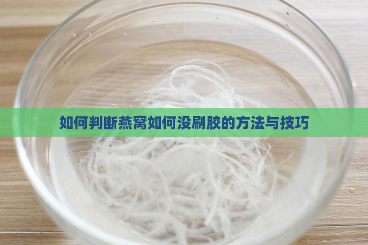 如何判断燕窝如何没刷胶的方法与技巧