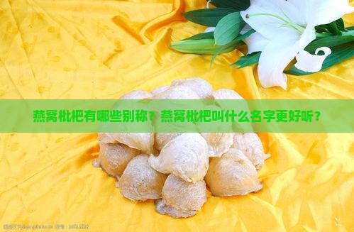 燕窝枇杷有哪些别称？燕窝枇杷叫什么名字更好听？