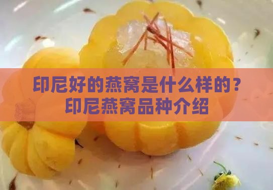 印尼好的燕窝是什么样的？印尼燕窝品种介绍
