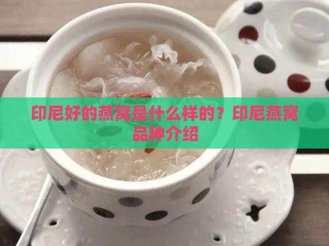 印尼好的燕窝是什么样的？印尼燕窝品种介绍