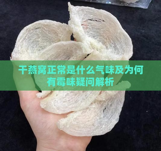 干燕窝正常是什么气味及为何有霉味疑问解析