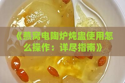 《燕窝电陶炉炖盅使用怎么操作：详尽指南》
