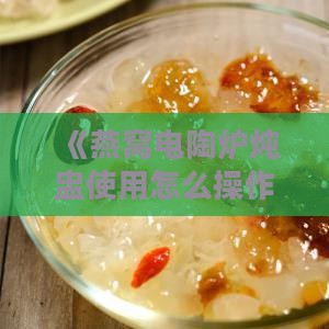 《燕窝电陶炉炖盅使用怎么操作：详尽指南》