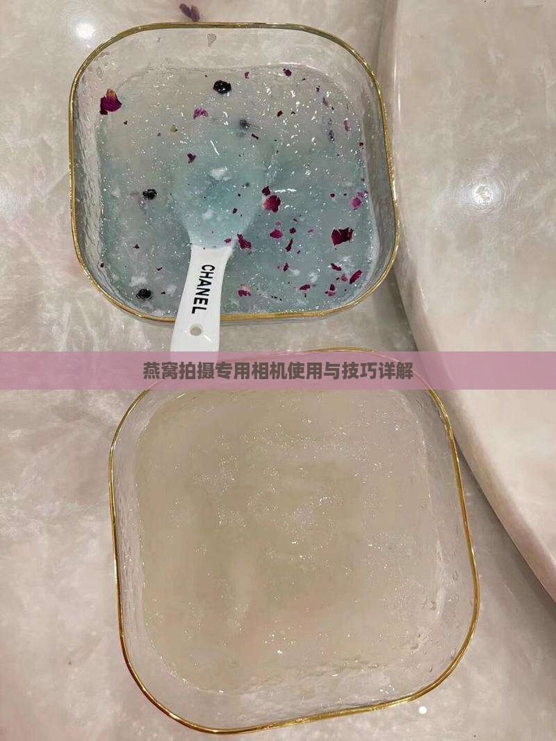 燕窝拍摄专用相机使用与技巧详解