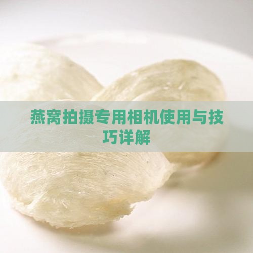 燕窝拍摄专用相机使用与技巧详解