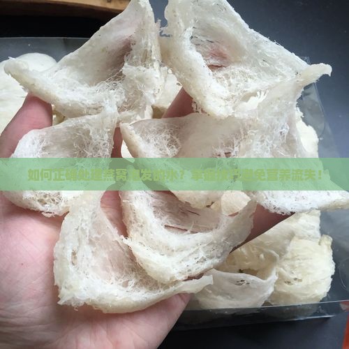 如何正确处理燕窝泡发的水？掌握技巧避免营养流失！