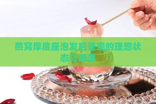 燕窝厚底座泡发后呈现的理想状态与效果