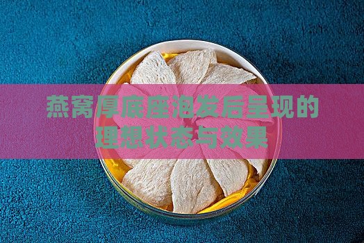 燕窝厚底座泡发后呈现的理想状态与效果