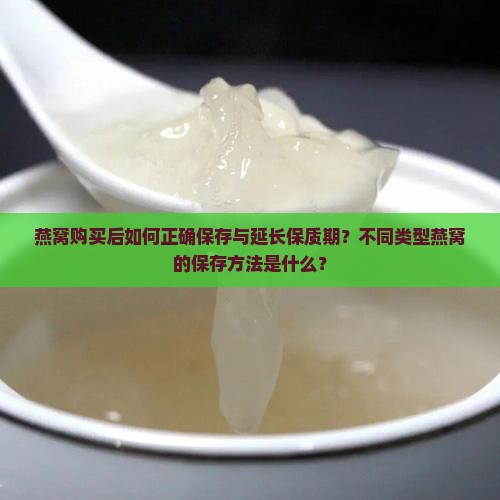 燕窝购买后如何正确保存与延长保质期？不同类型燕窝的保存方法是什么？