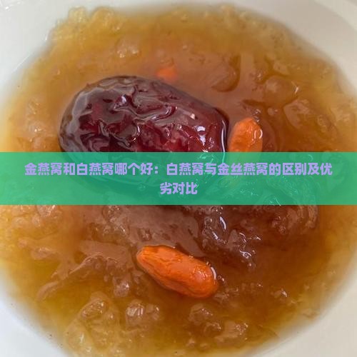金燕窝和白燕窝哪个好：白燕窝与金丝燕窝的区别及优劣对比