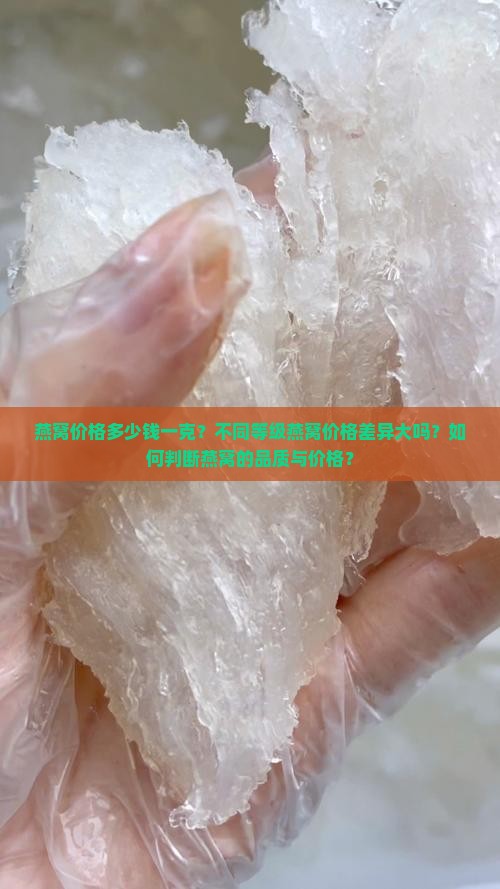 燕窝价格多少钱一克？不同等级燕窝价格差异大吗？如何判断燕窝的品质与价格？