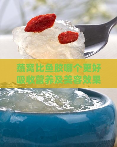 燕窝比鱼胶哪个更好吸收营养及美容效果