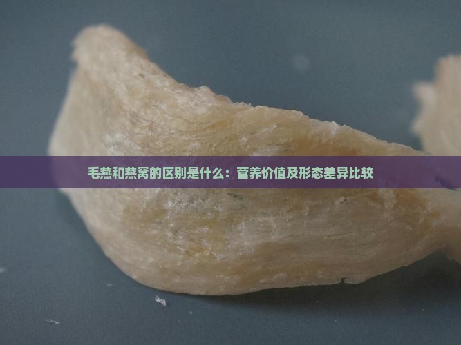 毛燕和燕窝的区别是什么：营养价值及形态差异比较