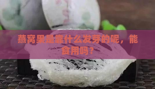 燕窝果是靠什么发芽的呢，能食用吗？