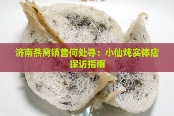 济南燕窝销售何处寻：小仙炖实体店探访指南