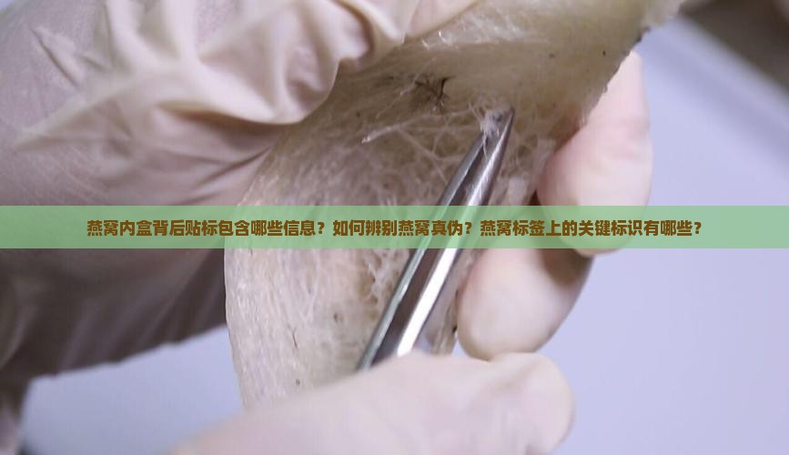 燕窝内盒背后贴标包含哪些信息？如何辨别燕窝真伪？燕窝标签上的关键标识有哪些？