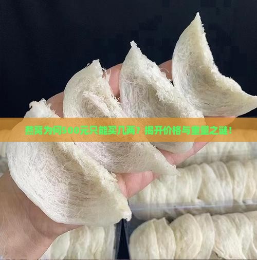 燕窝为何500元只能买几两？揭开价格与重量之谜！