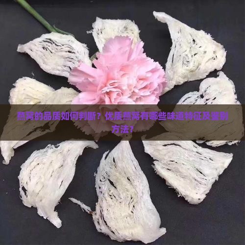 燕窝的品质如何判断？优质燕窝有哪些味道特征及鉴别方法？