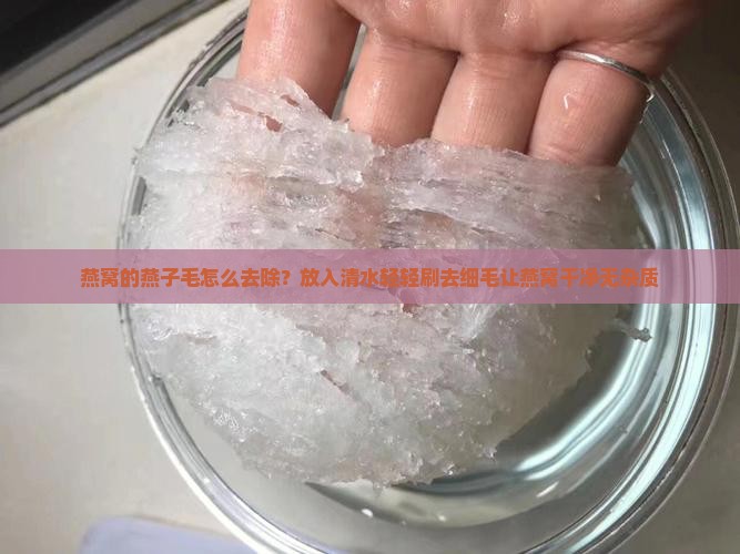 燕窝的燕子毛怎么去除？放入清水轻轻刷去细毛让燕窝干净无杂质