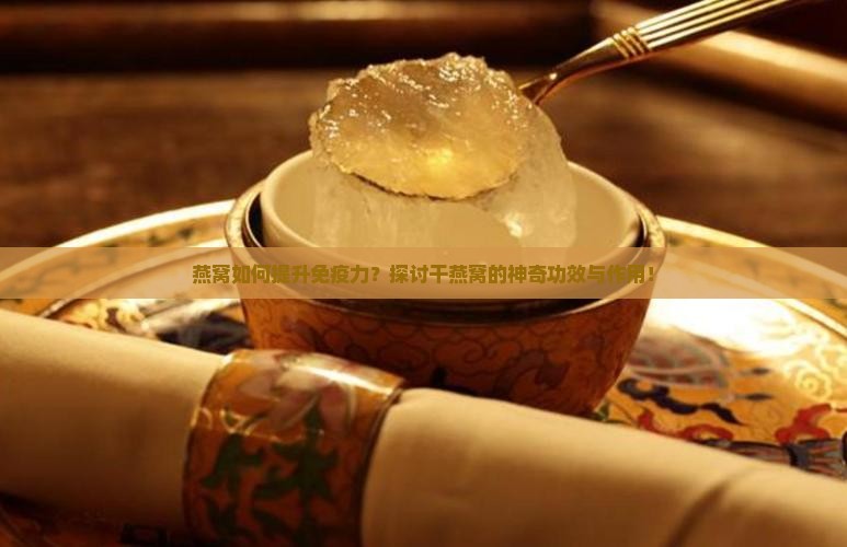燕窝如何提升免疫力？探讨干燕窝的神奇功效与作用！
