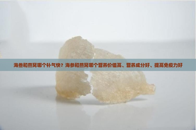 海叁和燕窝哪个补气快？海参和燕窝哪个营养价值高、营养成分好、提高免疫力好