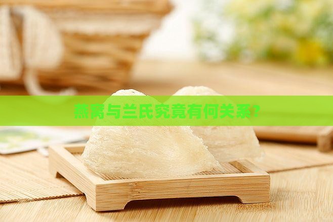 燕窝与兰氏究竟有何关系？