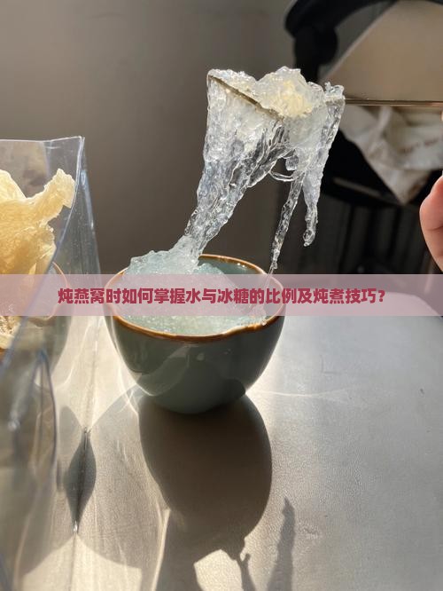 炖燕窝时如何掌握水与冰糖的比例及炖煮技巧？