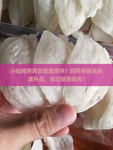 小仙炖燕窝放哪里保存？回购率爆表的滋补品，错过就是损失！