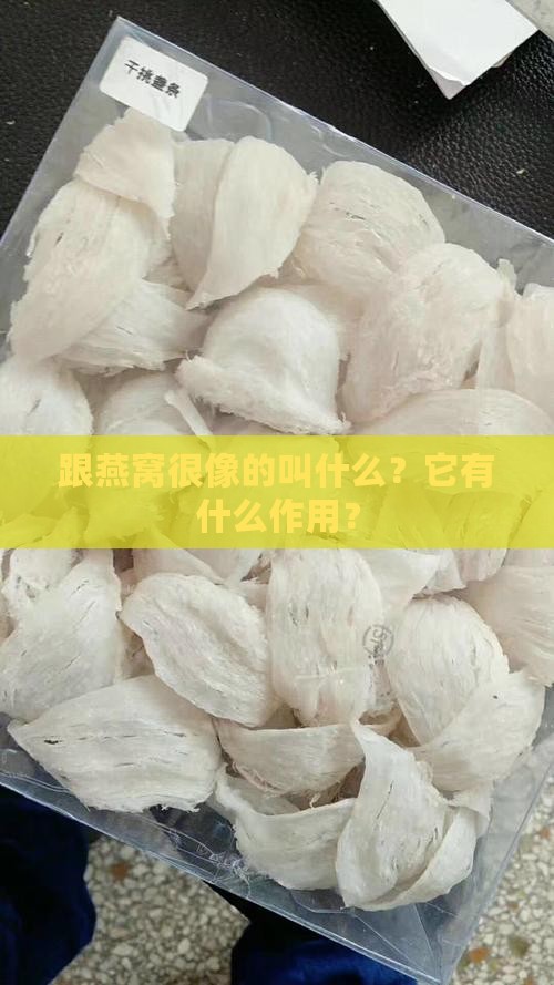 跟燕窝很像的叫什么？它有什么作用？