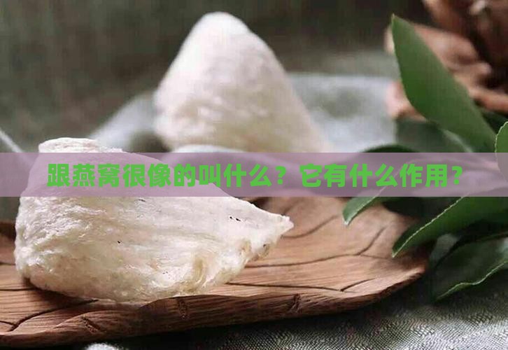 跟燕窝很像的叫什么？它有什么作用？