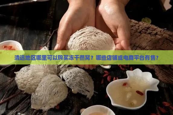 清远地区哪里可以购买冻干燕窝？哪些店铺或电商平台有售？