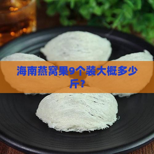 海南燕窝果9个装大概多少斤？