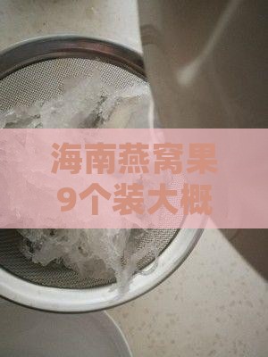海南燕窝果9个装大概多少斤？