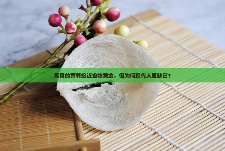 燕窝的营养接近食物黄金，但为何现代人更缺它？