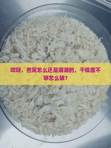 哎呀，燕窝怎么还是潮潮的，干燥度不够怎么破？