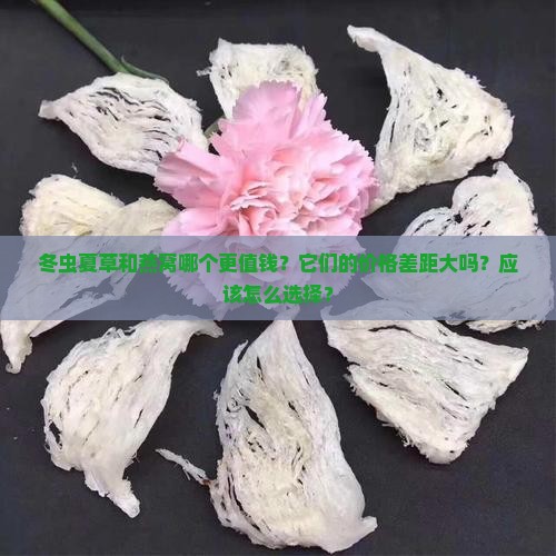 冬虫夏草和燕窝哪个更值钱？它们的价格差距大吗？应该怎么选择？