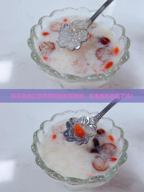 探寻美味辽参燕窝的秘密藏身地，你准备好启程了吗？