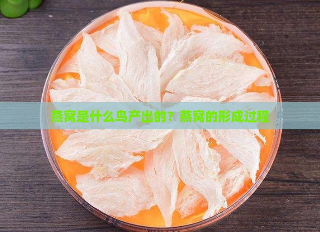 燕窝是什么鸟产出的？燕窝的形成过程