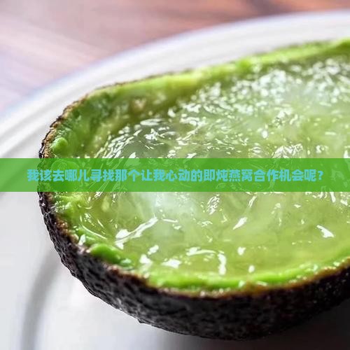 我该去哪儿寻找那个让我心动的即炖燕窝合作机会呢？