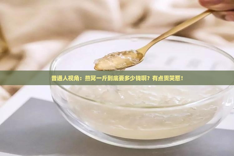 普通人视角：燕窝一斤到底要多少钱啊？有点贵哭惹！