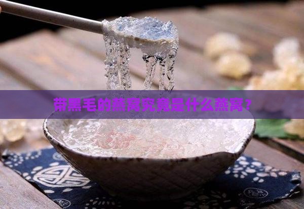 带黑毛的燕窝究竟是什么燕窝？