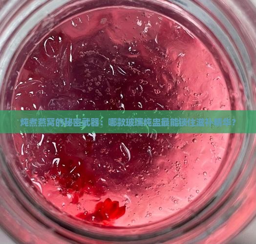 炖煮燕窝的秘密武器：哪款玻璃炖盅最能锁住滋补精华？