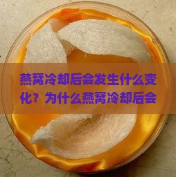 燕窝冷却后会发生什么变化？为什么燕窝冷却后会变形或结晶？燕窝冷却后的口感和质地有何不同？