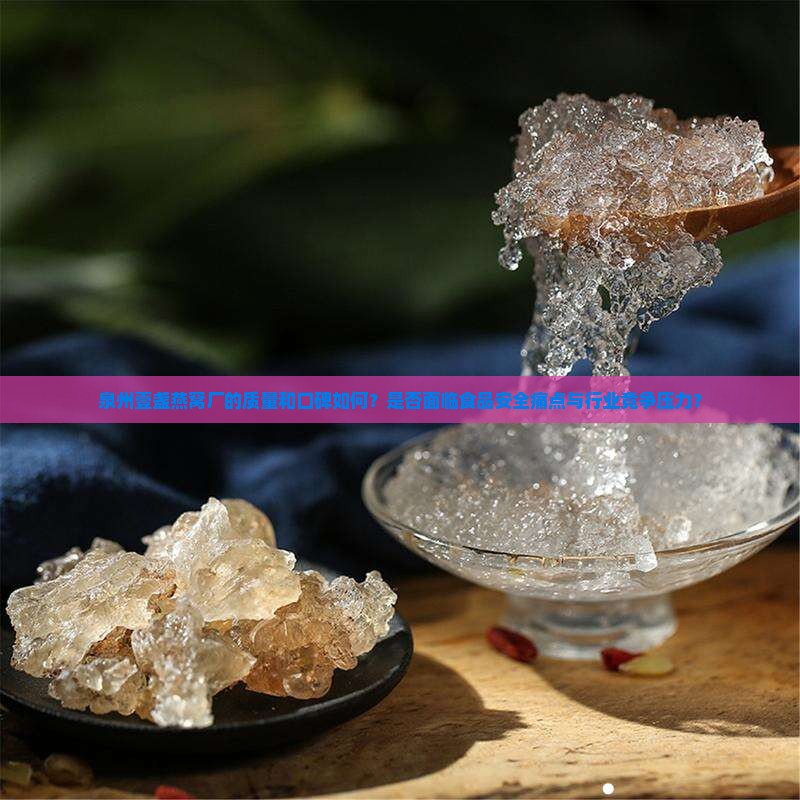 泉州壹盏燕窝厂的质量和口碑如何？是否面临食品安全痛点与行业竞争压力？