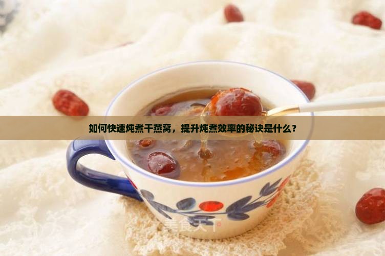 如何快速炖煮干燕窝，提升炖煮效率的秘诀是什么？