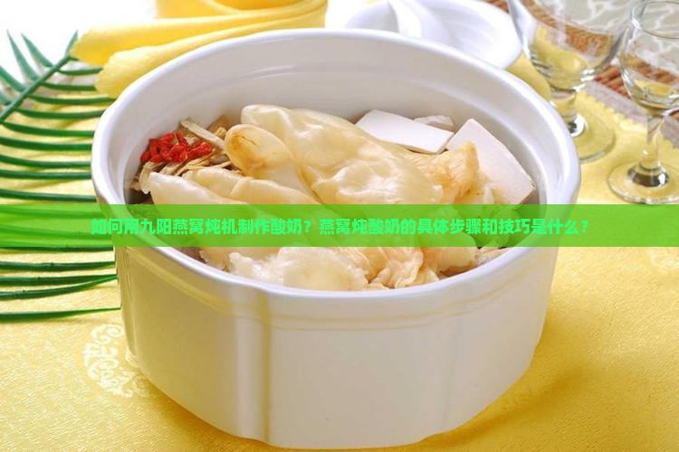 如何用九阳燕窝炖机制作酸奶？燕窝炖酸奶的具体步骤和技巧是什么？