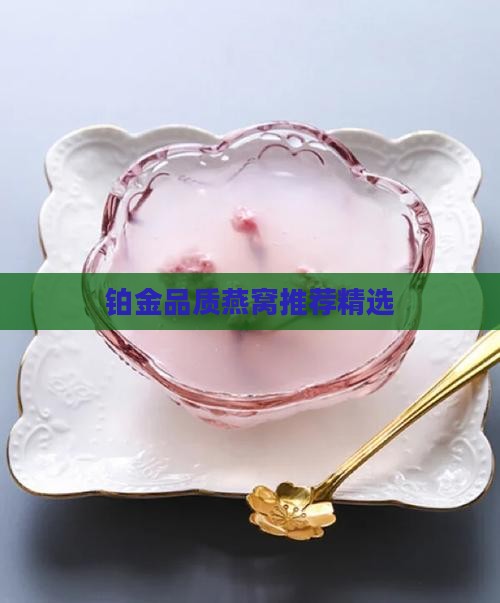 铂金品质燕窝推荐精选